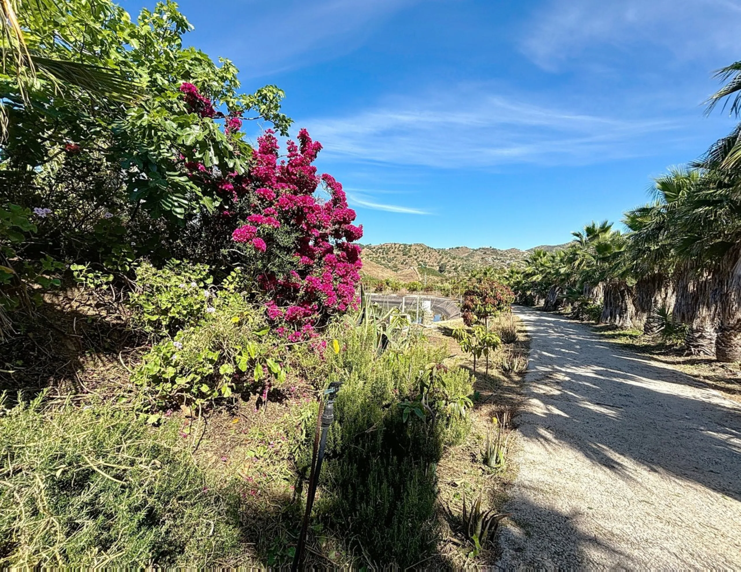 This impressive finca near Almayate spans almost 32,000 m2 of land and offers ample space for peace, self-sufficiency or small-scale farming projects. At its heart lies a charming house of approx. 200 m2, thoughtfully designed with three bedrooms and thre