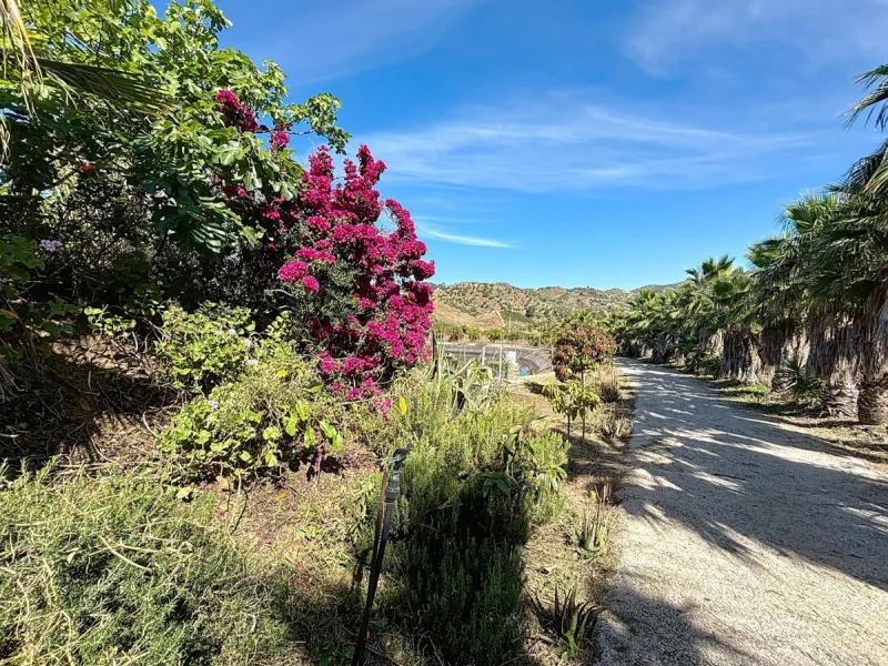 This impressive finca near Almayate spans almost 32,000 m2 of land and offers ample space for peace, self-sufficiency or small-scale farming projects. At its heart lies a charming house of approx. 200 m2, thoughtfully designed with three bedrooms and thre