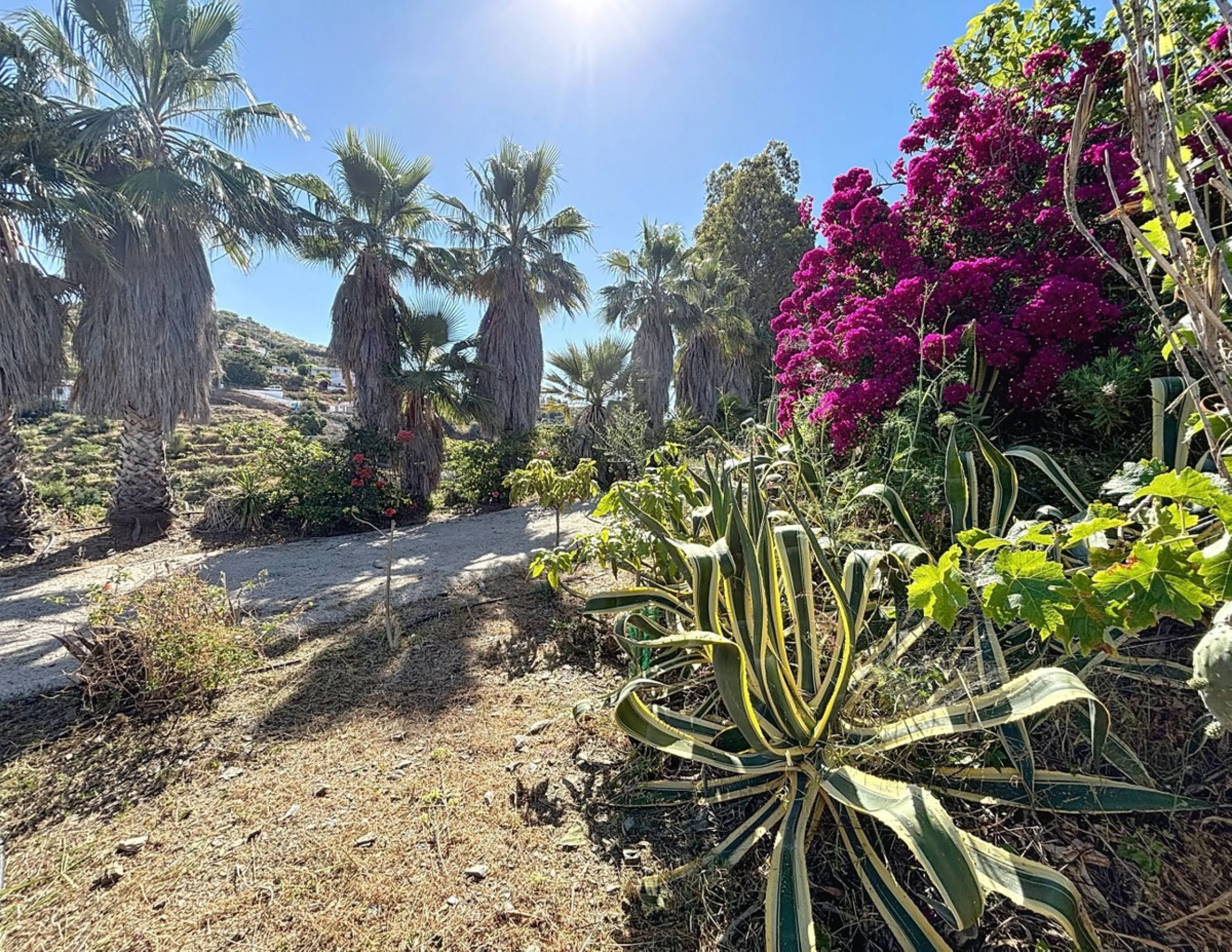 This impressive finca near Almayate spans almost 32,000 m2 of land and offers ample space for peace, self-sufficiency or small-scale farming projects. At its heart lies a charming house of approx. 200 m2, thoughtfully designed with three bedrooms and thre