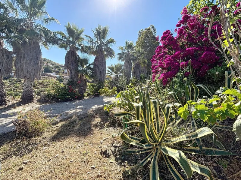 This impressive finca near Almayate spans almost 32,000 m2 of land and offers ample space for peace, self-sufficiency or small-scale farming projects. At its heart lies a charming house of approx. 200 m2, thoughtfully designed with three bedrooms and thre