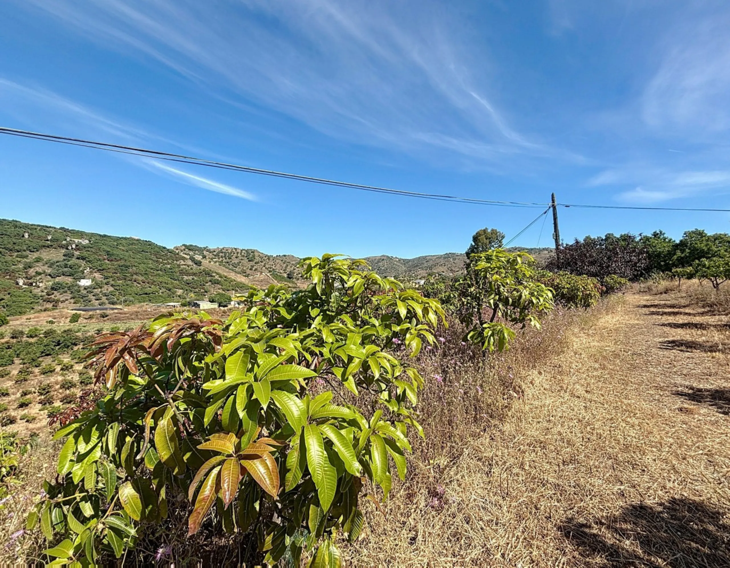 This impressive finca near Almayate spans almost 32,000 m2 of land and offers ample space for peace, self-sufficiency or small-scale farming projects. At its heart lies a charming house of approx. 200 m2, thoughtfully designed with three bedrooms and thre
