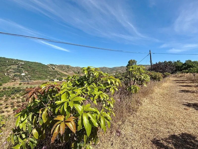 This impressive finca near Almayate spans almost 32,000 m2 of land and offers ample space for peace, self-sufficiency or small-scale farming projects. At its heart lies a charming house of approx. 200 m2, thoughtfully designed with three bedrooms and thre