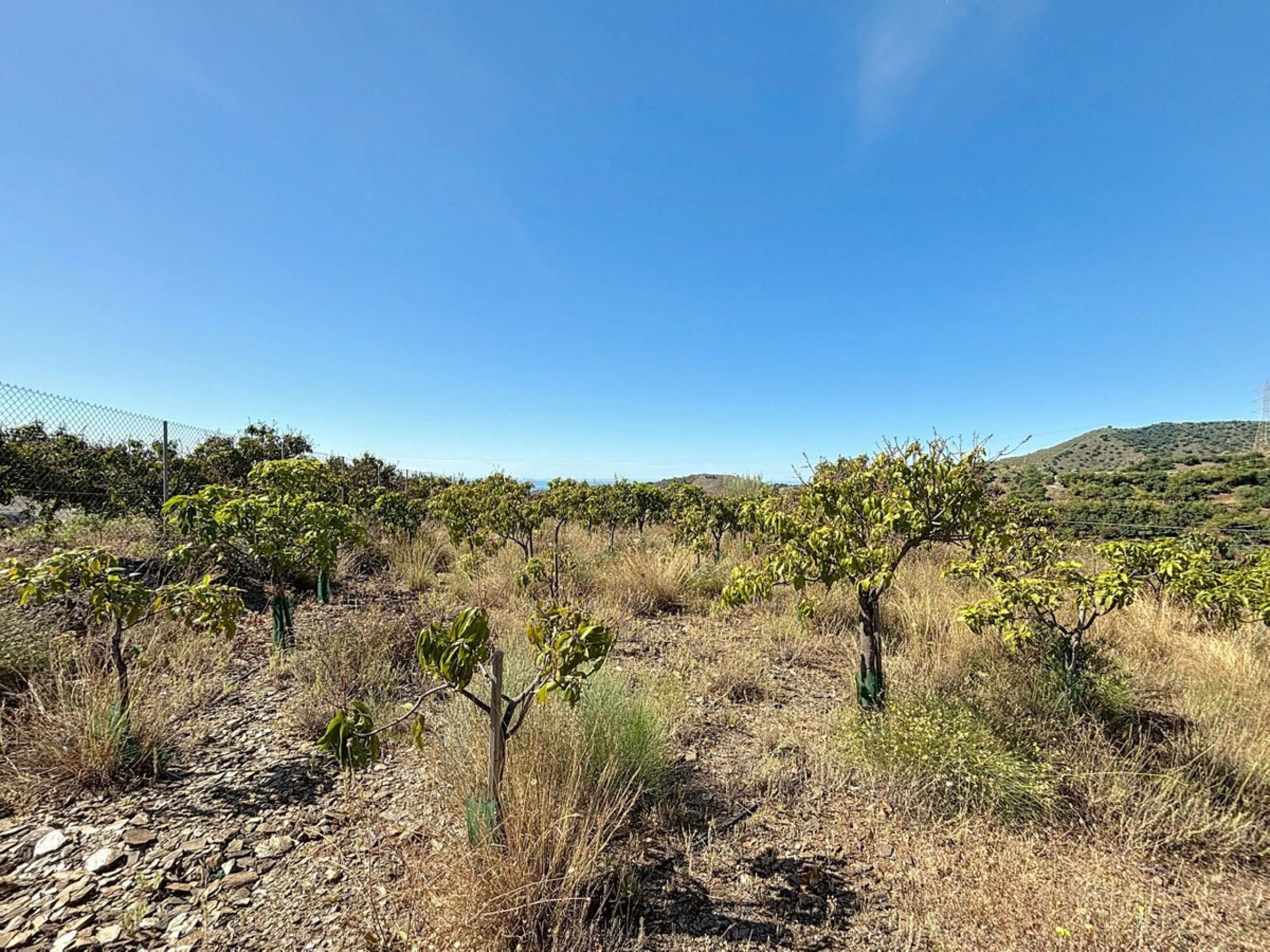 This impressive finca near Almayate spans almost 32,000 m2 of land and offers ample space for peace, self-sufficiency or small-scale farming projects. At its heart lies a charming house of approx. 200 m2, thoughtfully designed with three bedrooms and thre