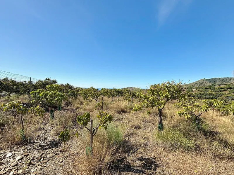 This impressive finca near Almayate spans almost 32,000 m2 of land and offers ample space for peace, self-sufficiency or small-scale farming projects. At its heart lies a charming house of approx. 200 m2, thoughtfully designed with three bedrooms and thre