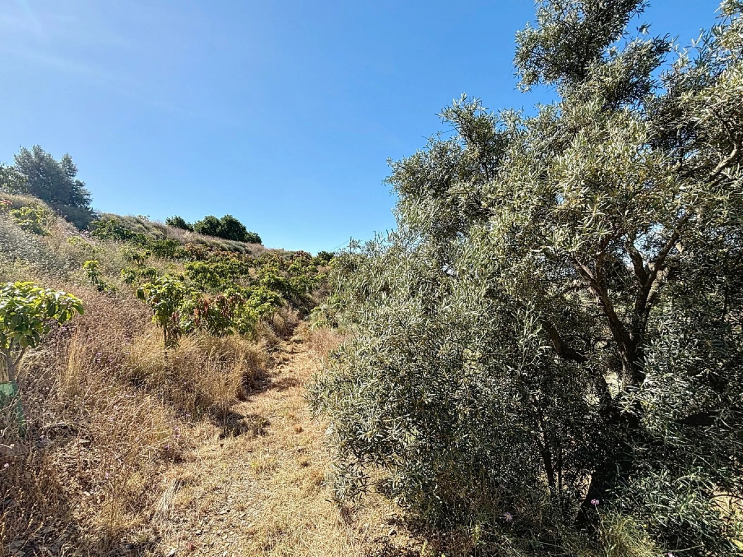 This impressive finca near Almayate spans almost 32,000 m2 of land and offers ample space for peace, self-sufficiency or small-scale farming projects. At its heart lies a charming house of approx. 200 m2, thoughtfully designed with three bedrooms and thre