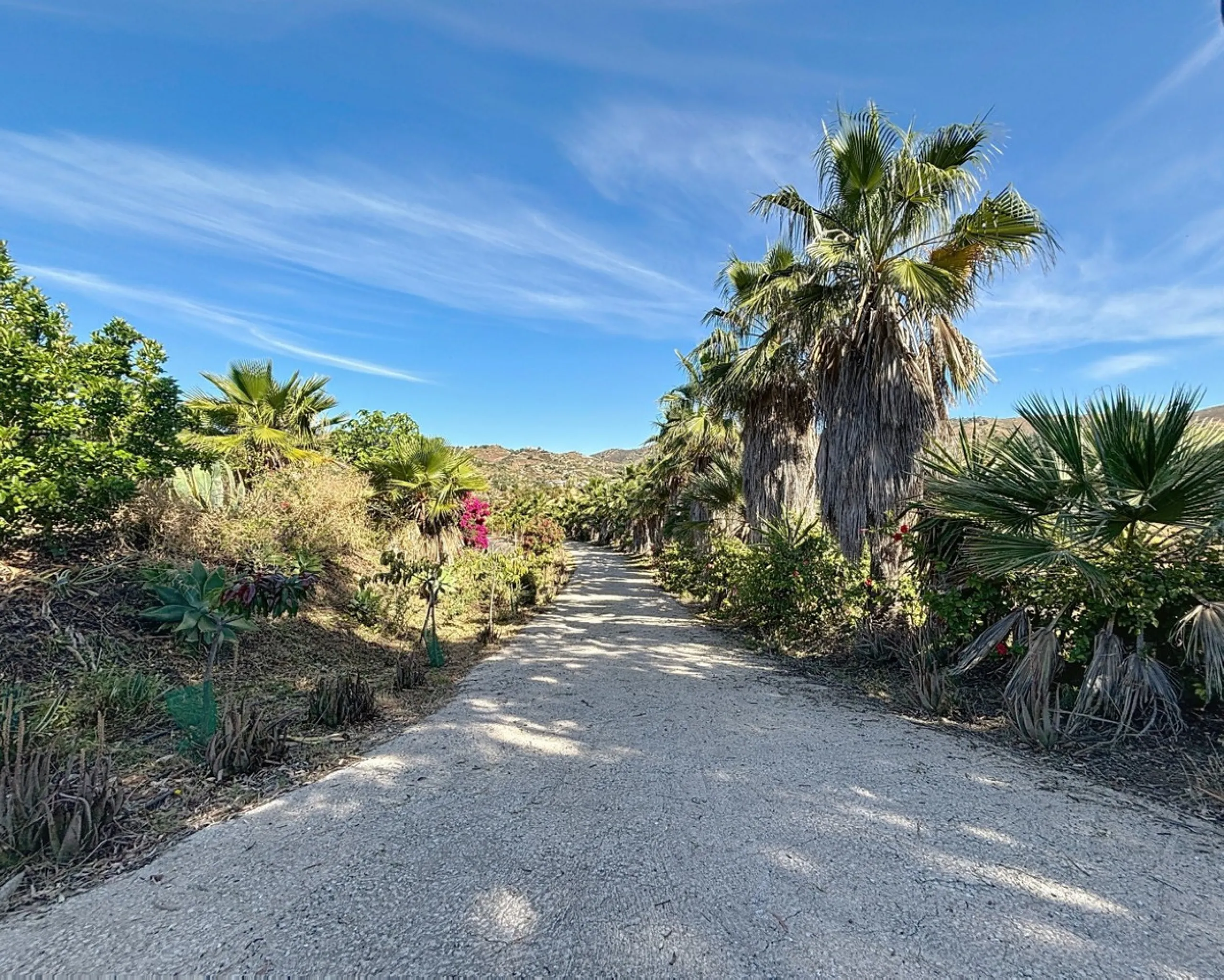 This impressive finca near Almayate spans almost 32,000 m2 of land and offers ample space for peace, self-sufficiency or small-scale farming projects. At its heart lies a charming house of approx. 200 m2, thoughtfully designed with three bedrooms and thre