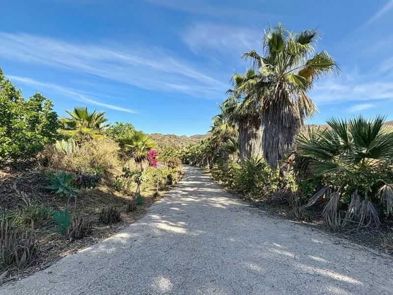 This impressive finca near Almayate spans almost 32,000 m2 of land and offers ample space for peace, self-sufficiency or small-scale farming projects. At its heart lies a charming house of approx. 200 m2, thoughtfully designed with three bedrooms and thre