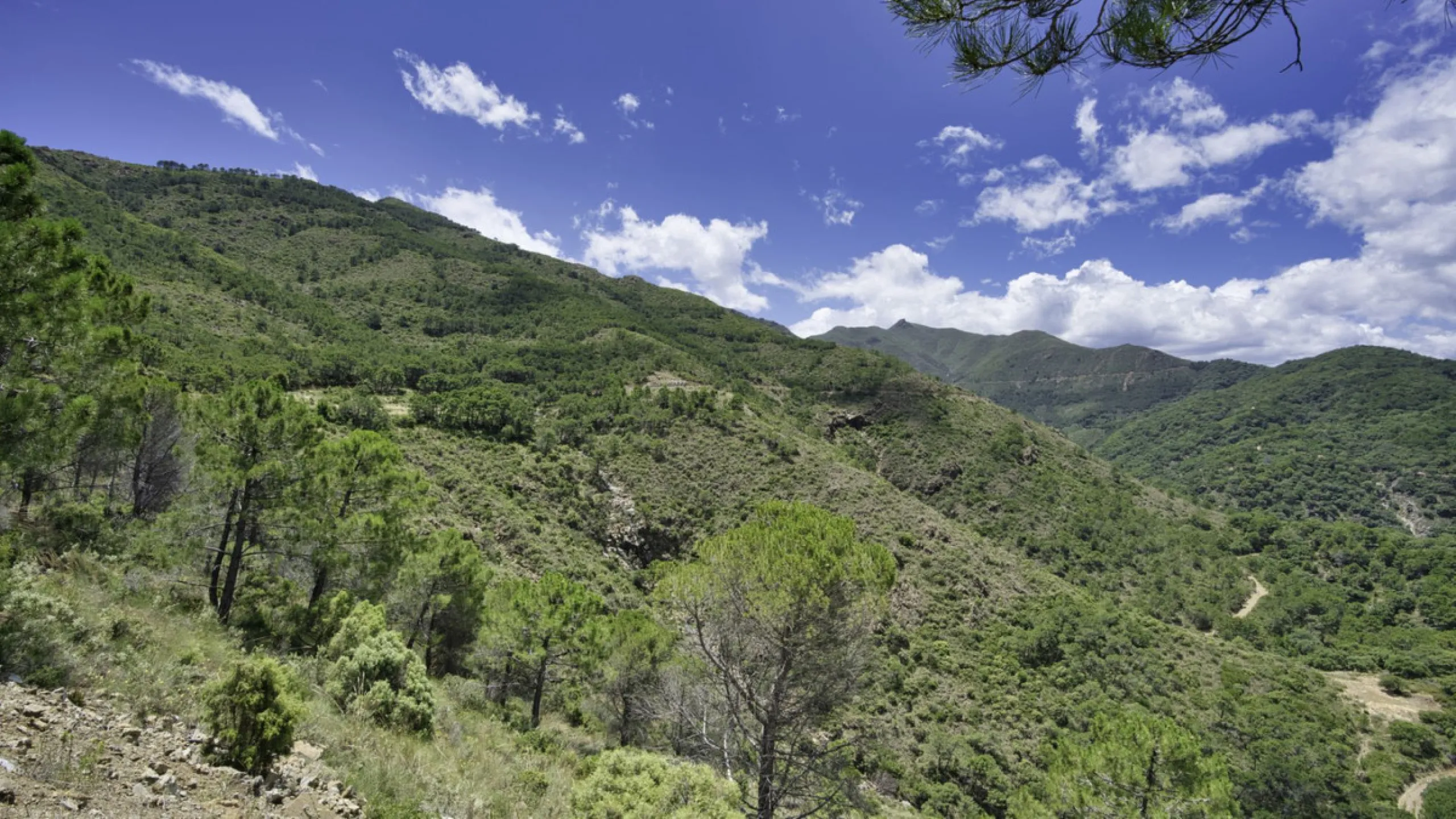 RUSTIC FINCA IN COÍN / ALHAURÍN GOLF WITH SEA VIEWS