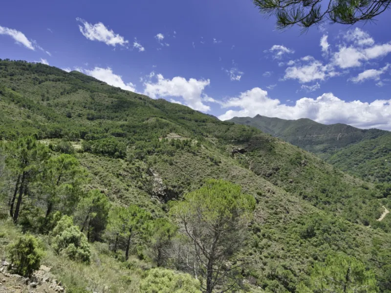 RUSTIC FINCA IN COÍN / ALHAURÍN GOLF WITH SEA VIEWS