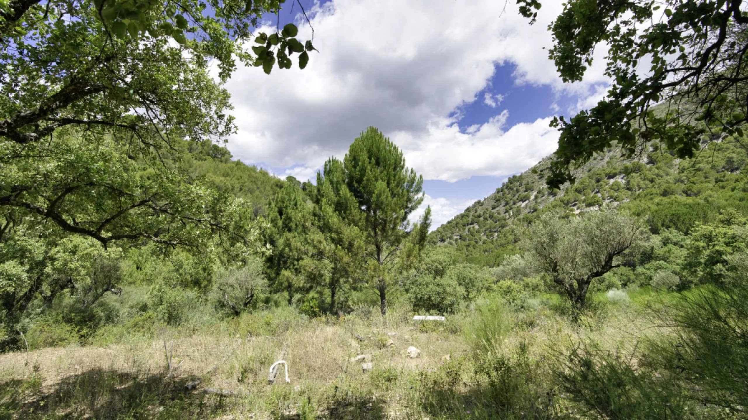 RUSTIC FINCA IN COÍN / ALHAURÍN GOLF WITH SEA VIEWS