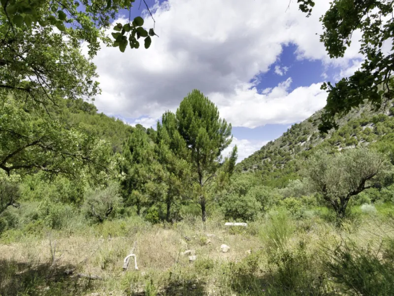 RUSTIC FINCA IN COÍN / ALHAURÍN GOLF WITH SEA VIEWS