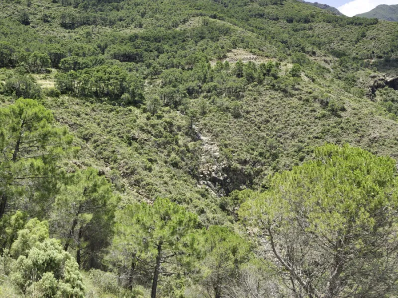 RUSTIC FINCA IN COÍN / ALHAURÍN GOLF WITH SEA VIEWS