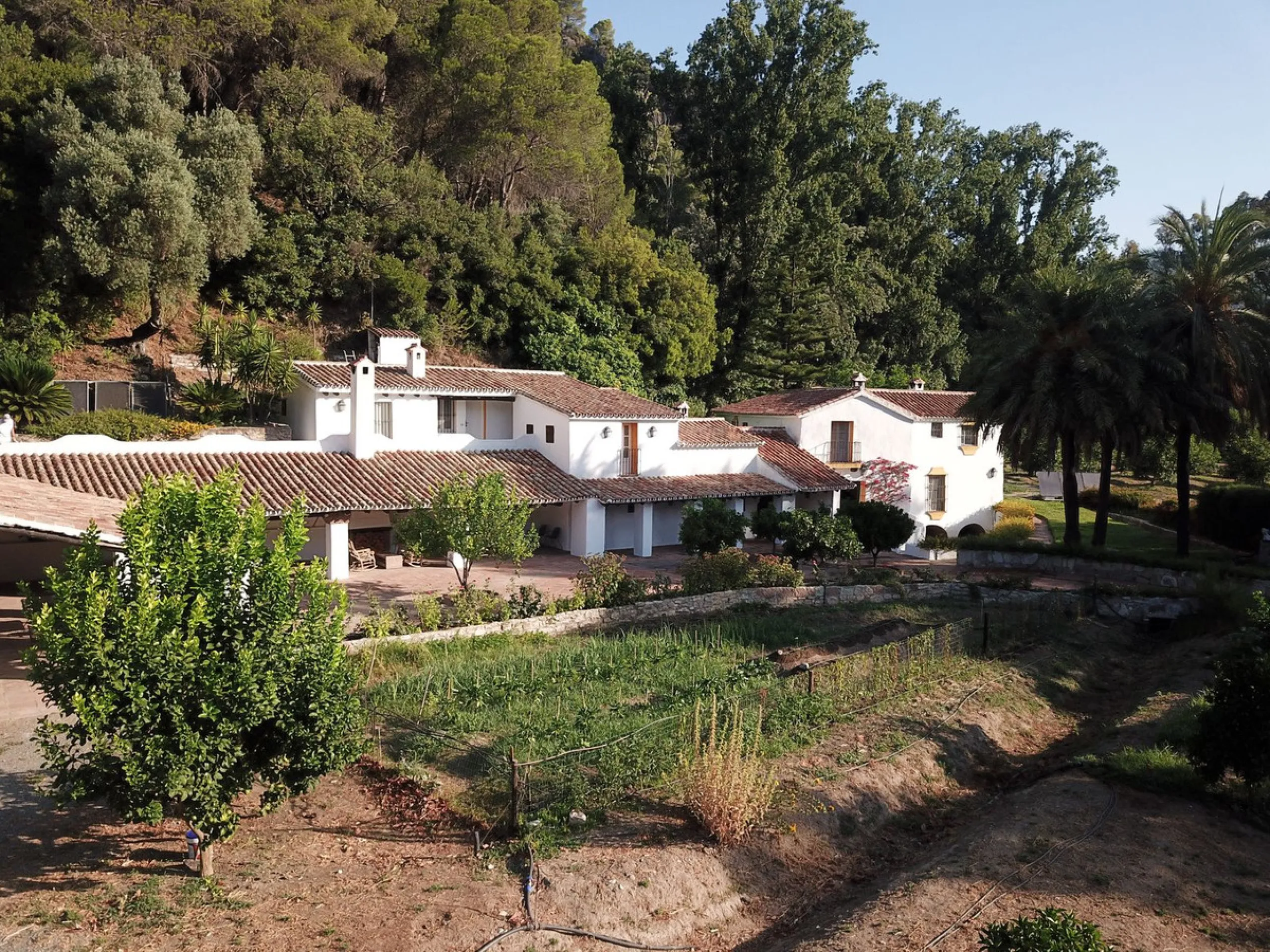 INVESTMENT OPPORTUNITY: