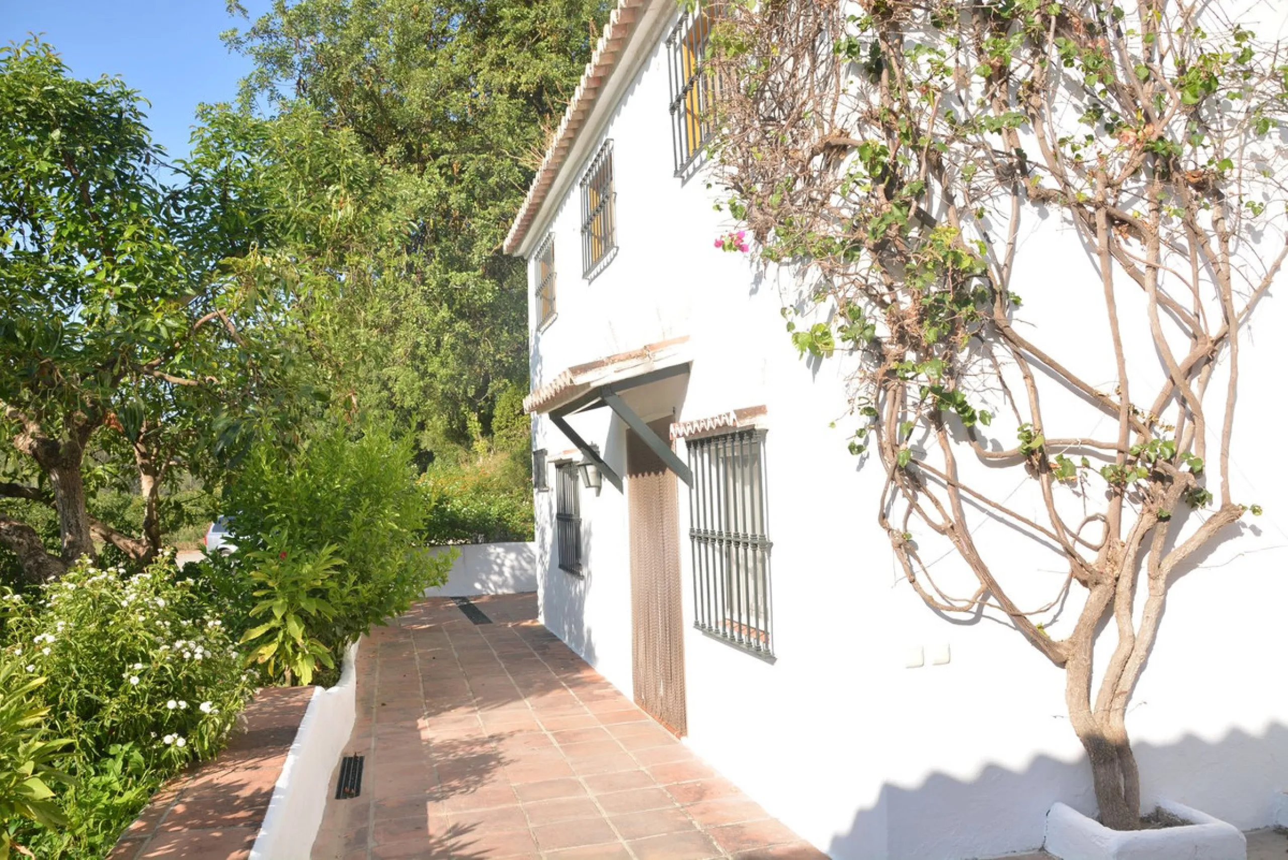 INVESTMENT OPPORTUNITY: