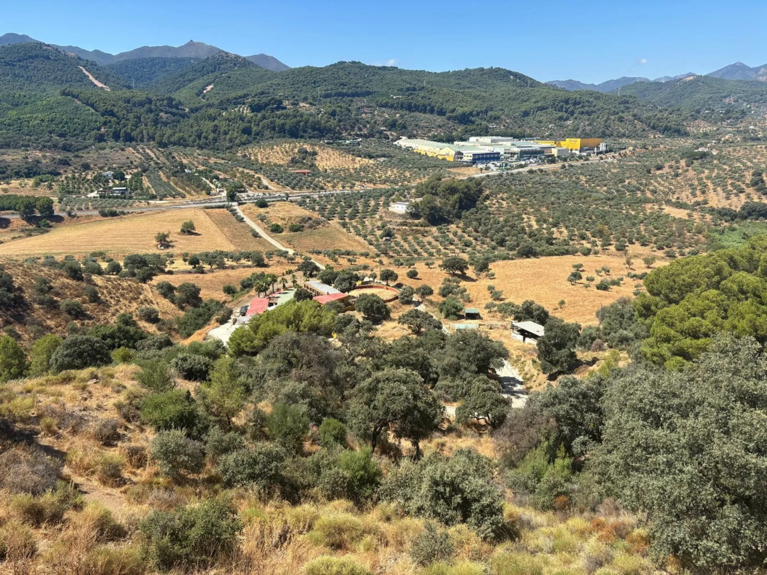 Farm with many possibilities of 15 hectares in Coin near Monda, it has a bullring, farmhouse, celebration halls