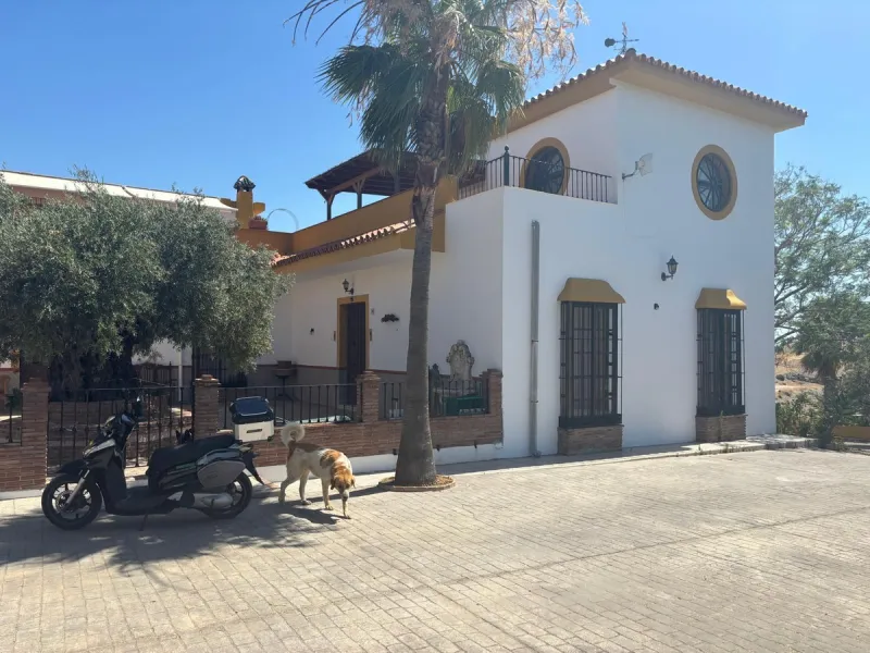 Farm with many possibilities of 15 hectares in Coin near Monda, it has a bullring, farmhouse, celebration halls