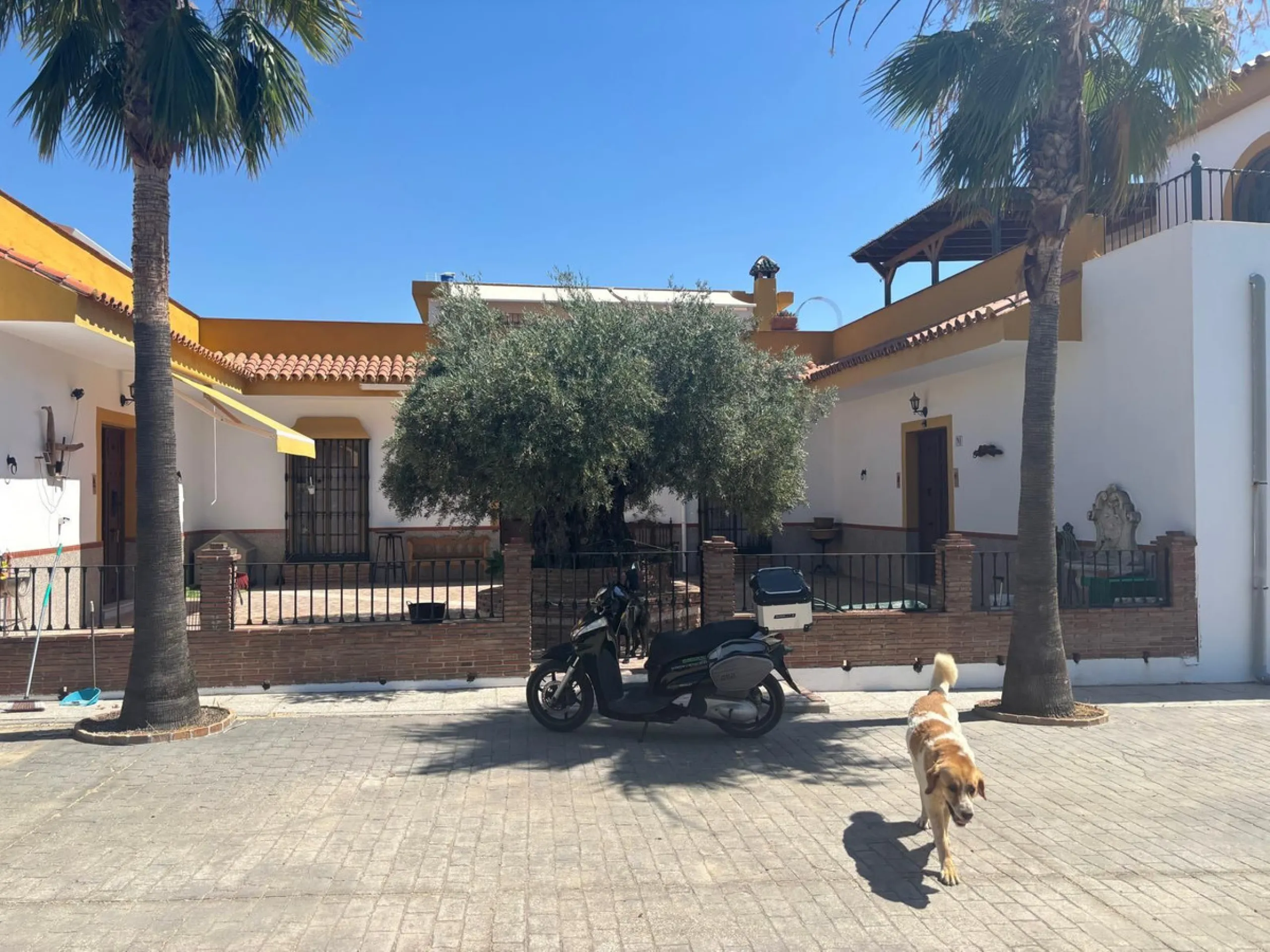 Farm with many possibilities of 15 hectares in Coin near Monda, it has a bullring, farmhouse, celebration halls
