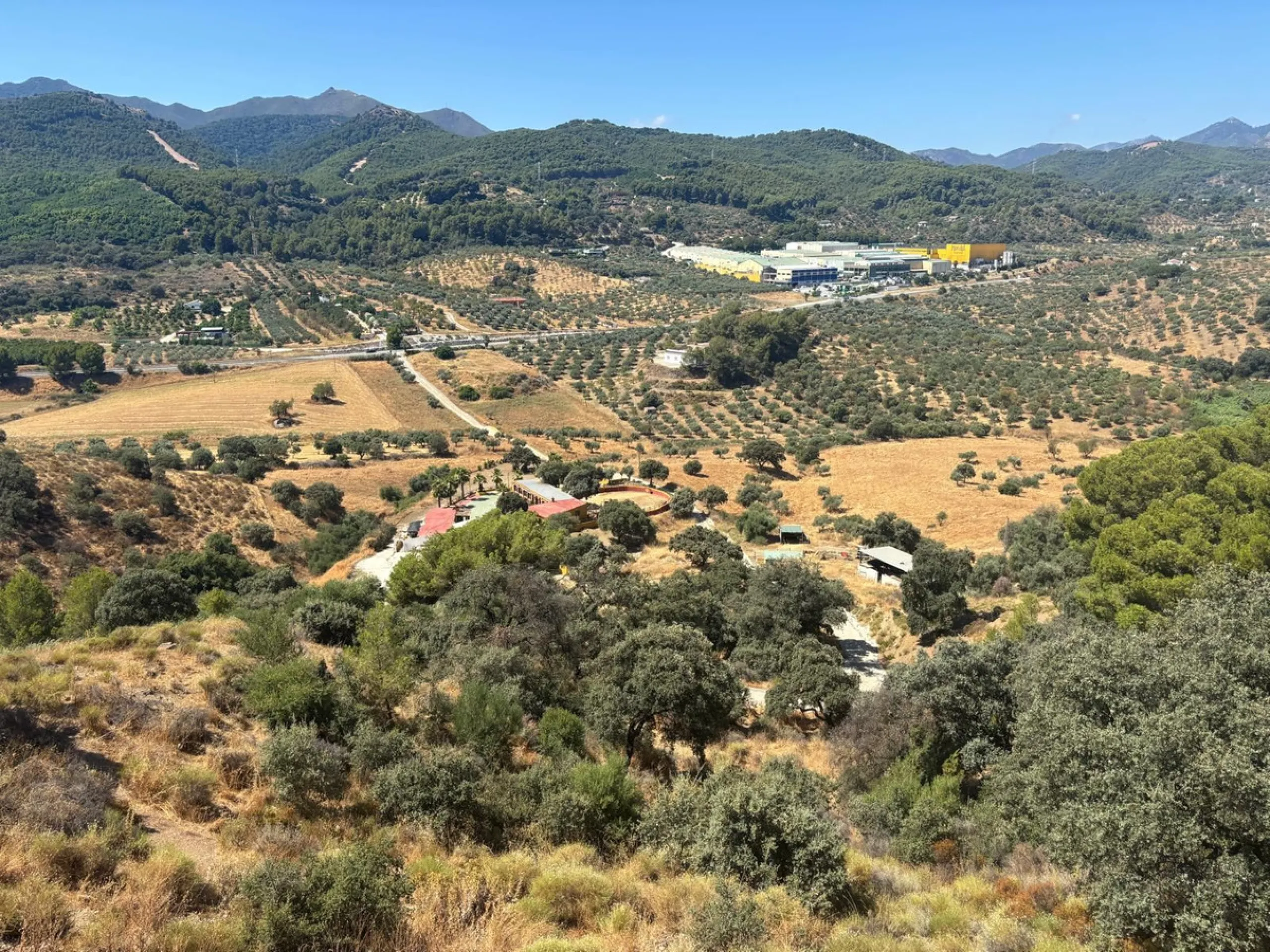 Farm with many possibilities of 15 hectares in Coin near Monda, it has a bullring, farmhouse, celebration halls