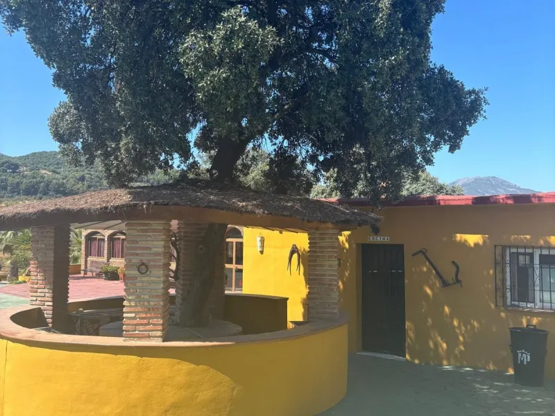 Farm with many possibilities of 15 hectares in Coin near Monda, it has a bullring, farmhouse, celebration halls