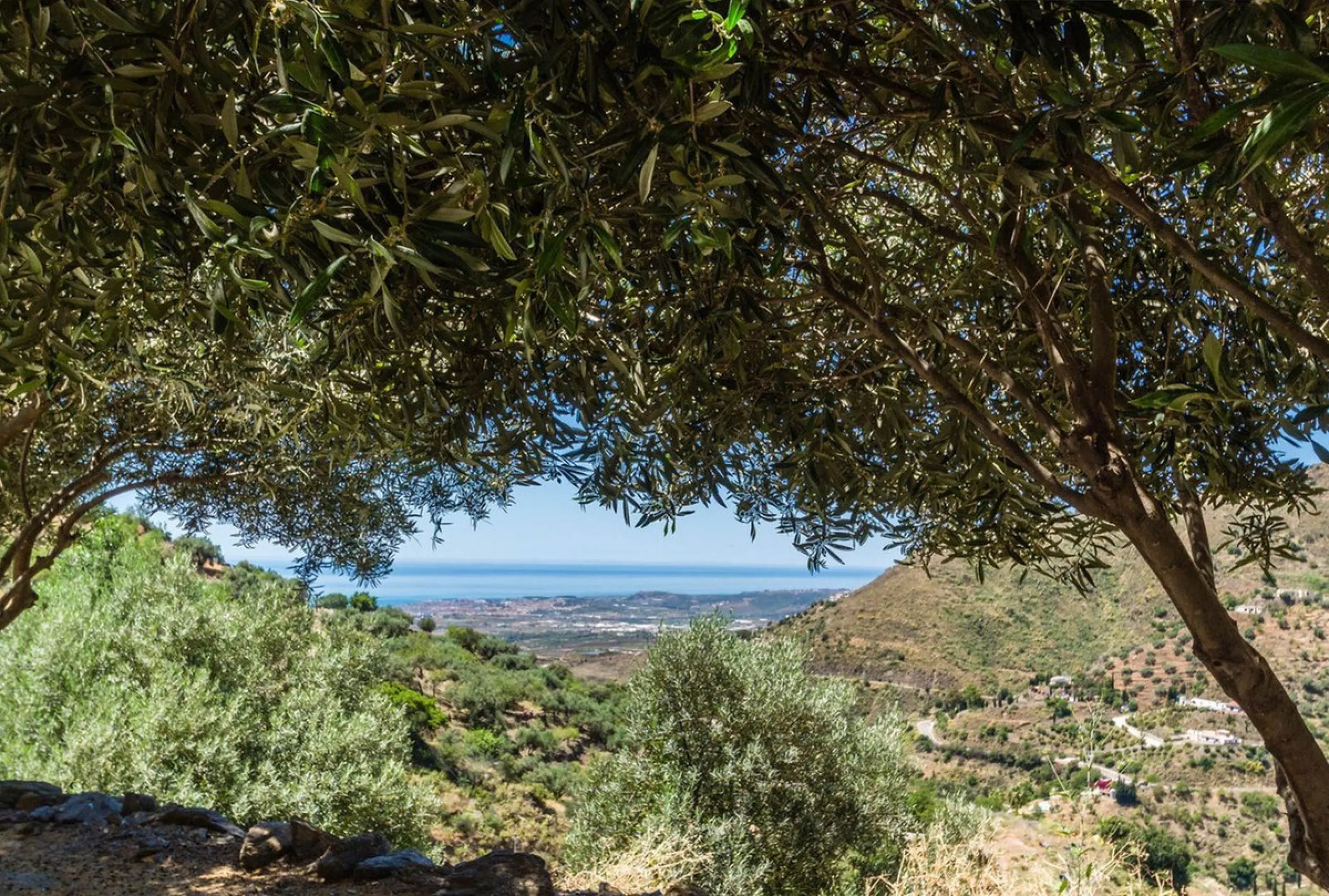 Exclusive Villa for Sale in Arenas, Vélez-Málaga. Escape the hustle and bustle and discover this exceptional villa, located in the quiet countryside (campo) of the white village of Arenas in the beautiful and still authentic region of eastern Malaga. This