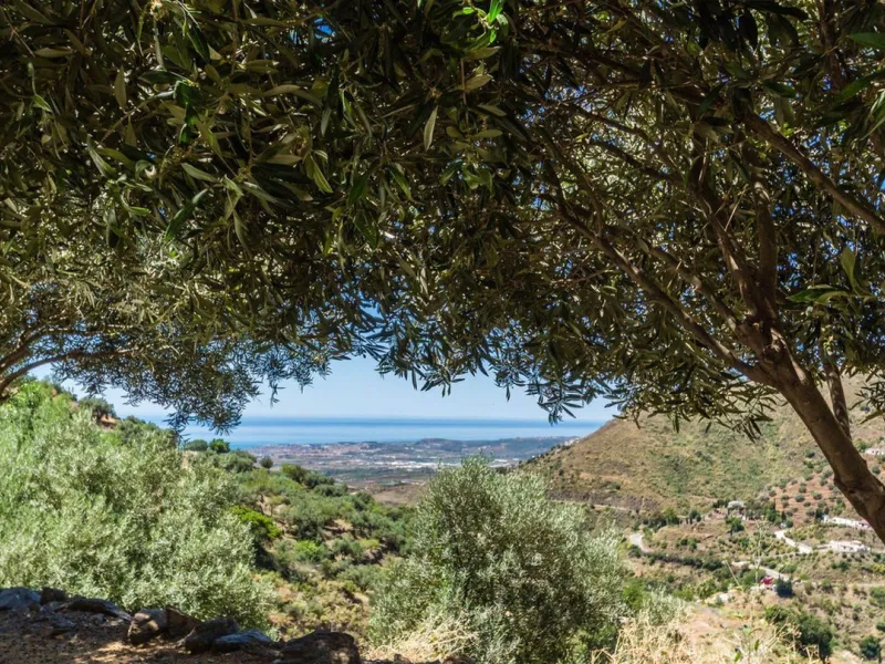 Exclusive Villa for Sale in Arenas, Vélez-Málaga. Escape the hustle and bustle and discover this exceptional villa, located in the quiet countryside (campo) of the white village of Arenas in the beautiful and still authentic region of eastern Malaga. This