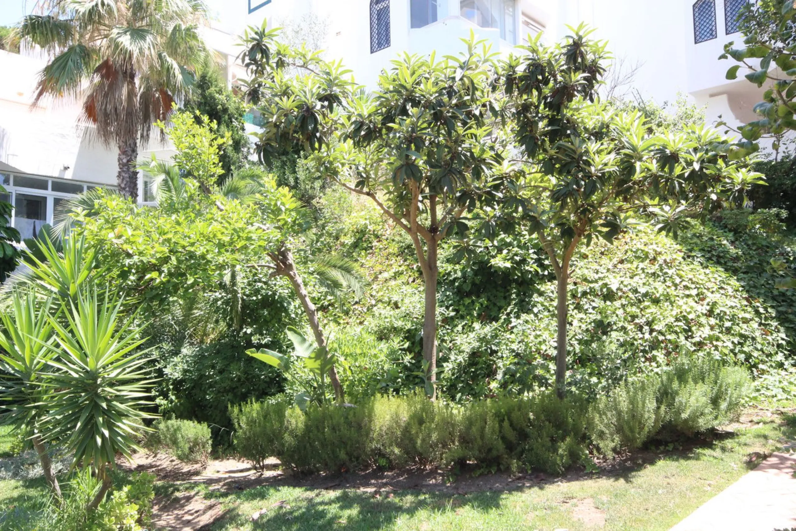 Ground Floor Apartment in Marbella East – Romantic Andalusian Architecture, Modern Renovation.