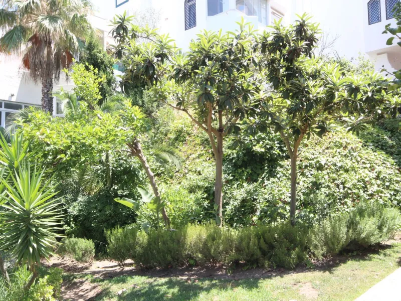 Ground Floor Apartment in Marbella East – Romantic Andalusian Architecture, Modern Renovation.