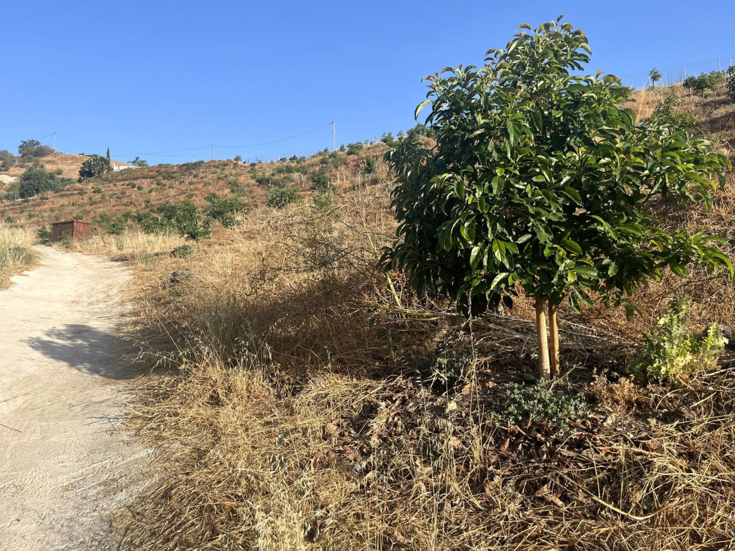 Plot - Land в продаже в Alhaurín el Grande, Málaga. Площадь участка 18206 м²