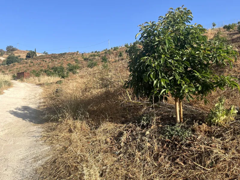 Plot - Land в продаже в Alhaurín el Grande, Málaga. Площадь участка 18206 м²