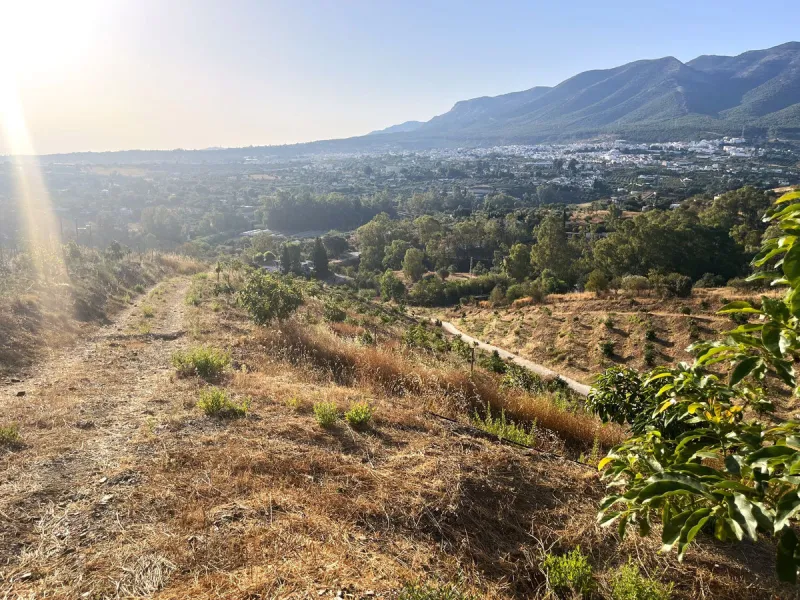 Plot - Land в продаже в Alhaurín el Grande, Málaga. Площадь участка 18206 м²