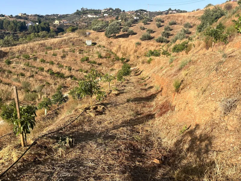 Plot - Land в продаже в Alhaurín el Grande, Málaga. Площадь участка 18206 м²