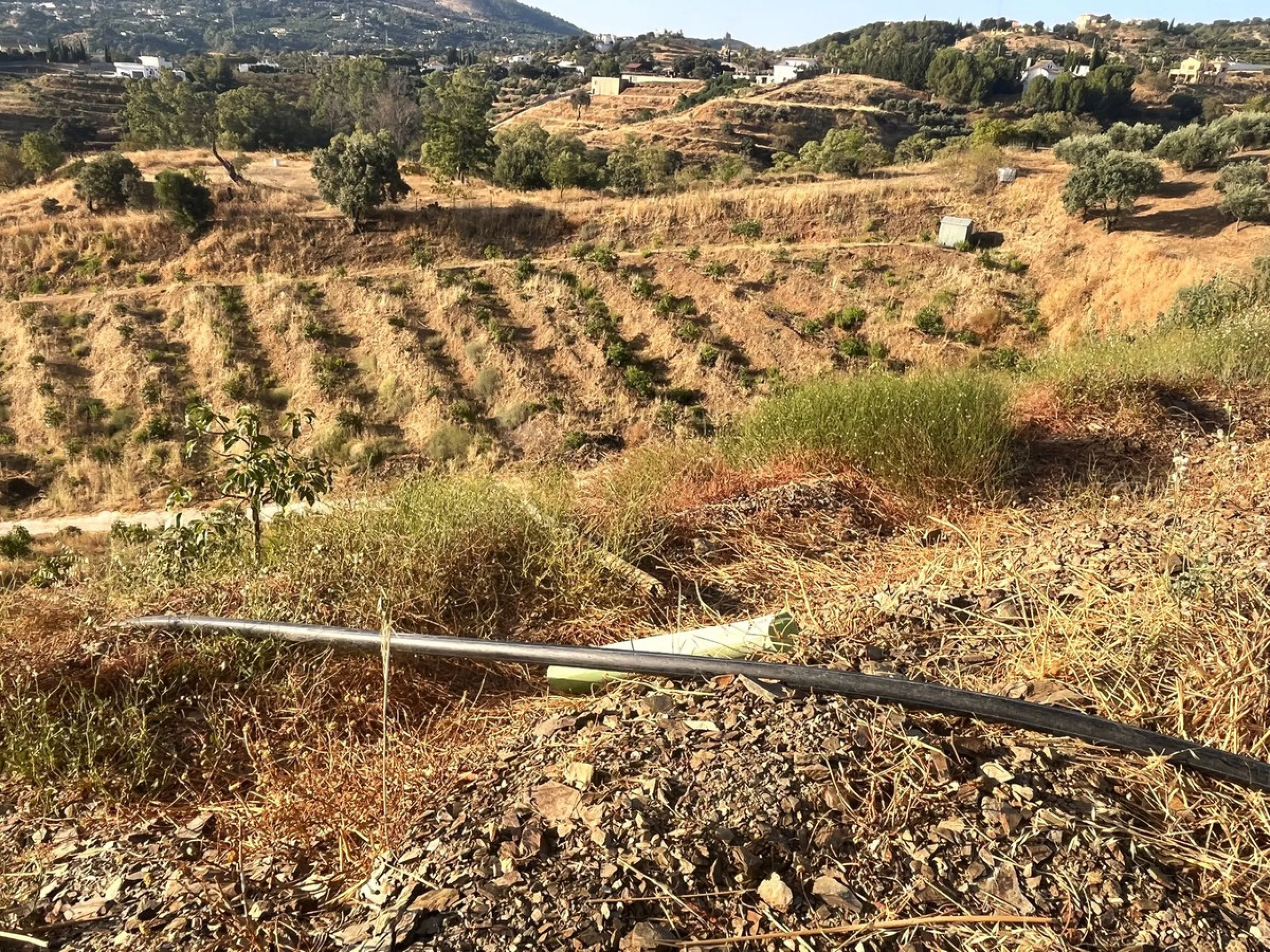 Plot - Land в продаже в Alhaurín el Grande, Málaga. Площадь участка 18206 м²