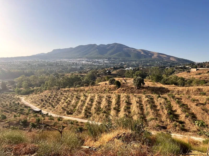 Plot - Land в продаже в Alhaurín el Grande, Málaga. Площадь участка 18206 м²