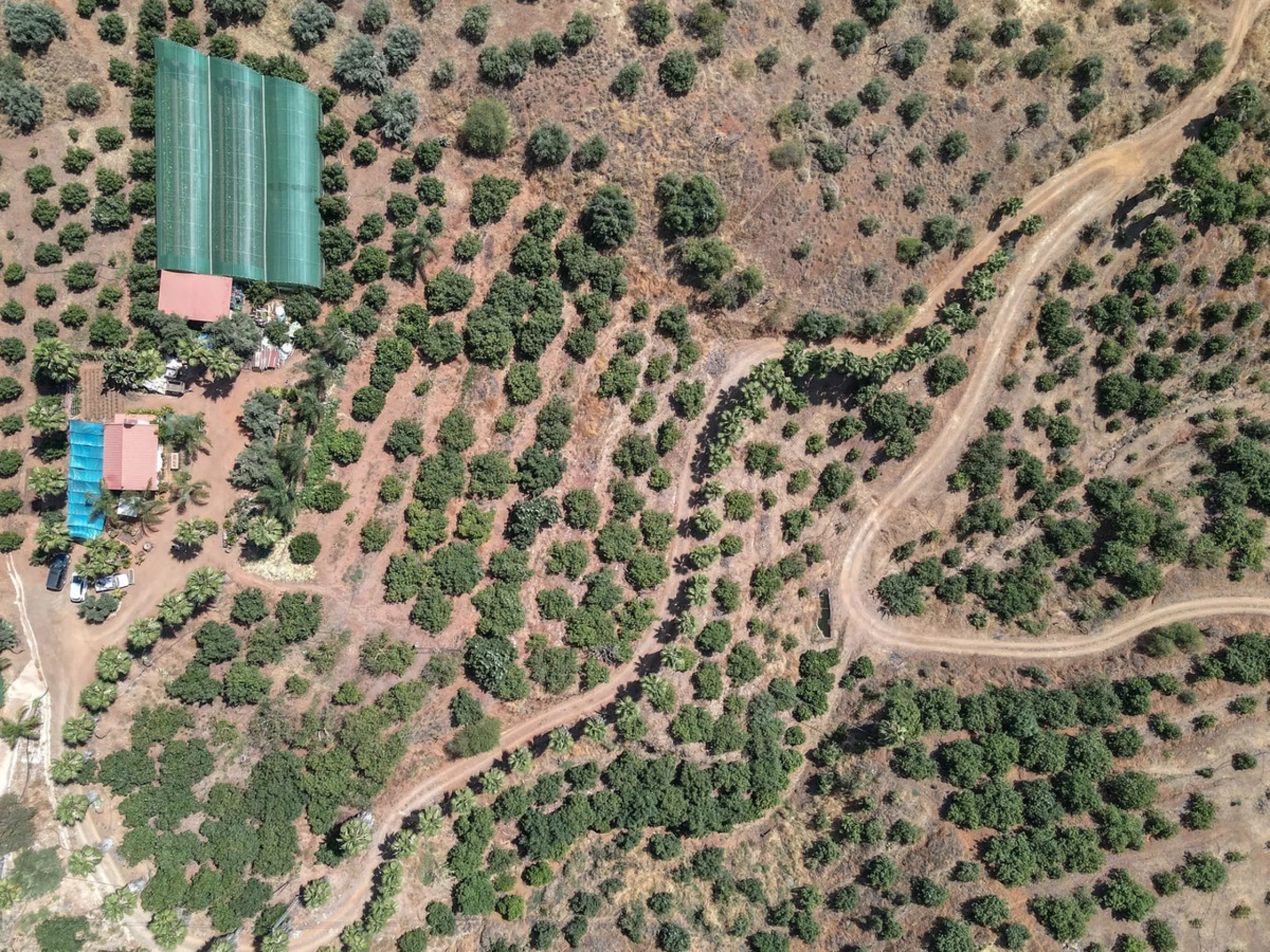 Avocado & Dragon Fruit Farm – Your Own Mountain Retreat