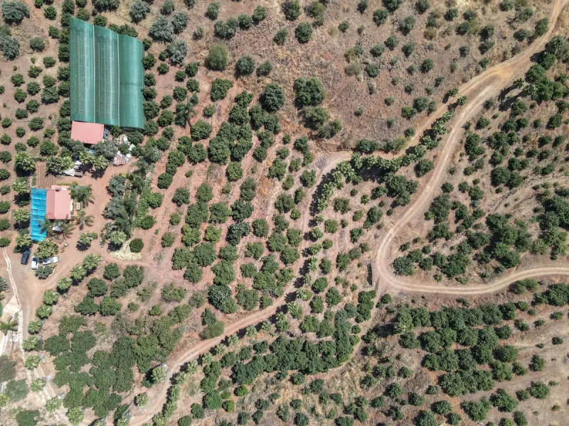 Avocado & Dragon Fruit Farm – Your Own Mountain Retreat
