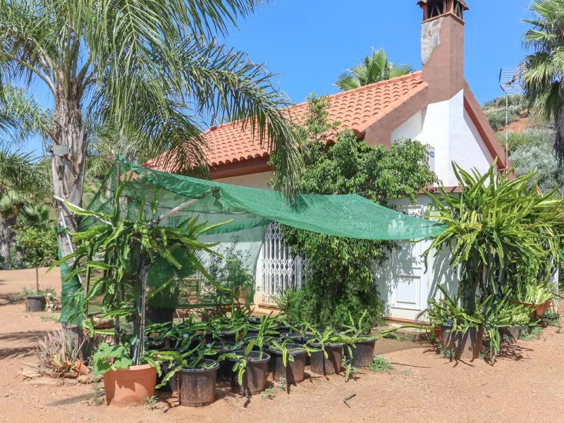 Avocado & Dragon Fruit Farm – Your Own Mountain Retreat
