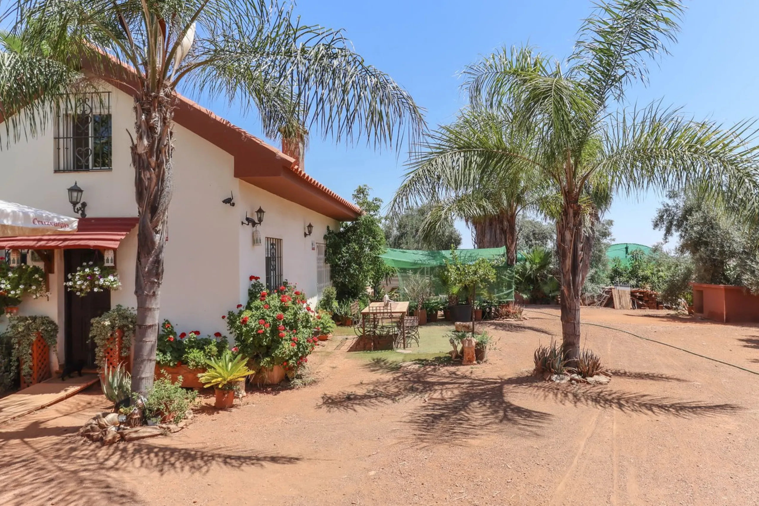 Avocado & Dragon Fruit Farm – Your Own Mountain Retreat