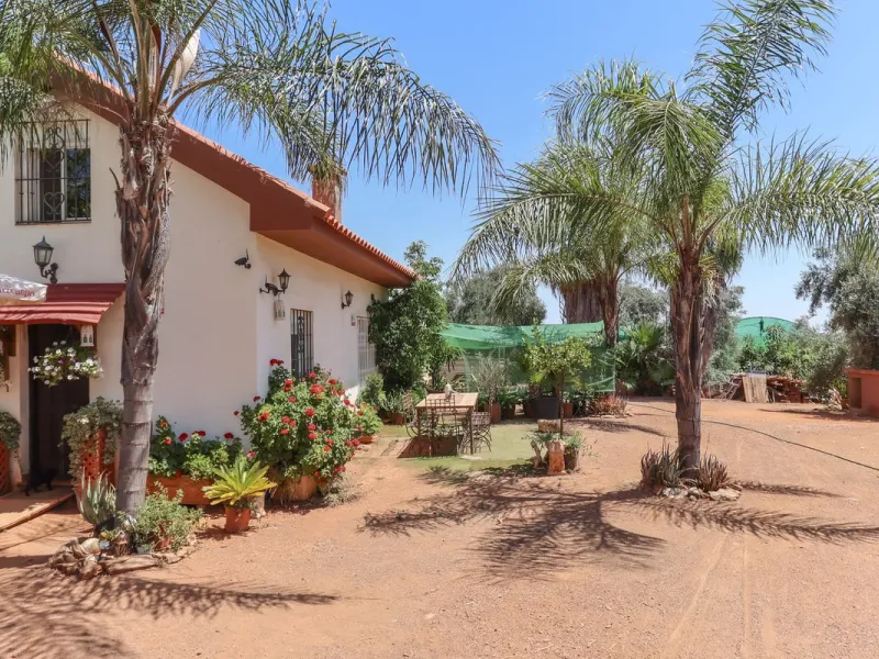 Avocado & Dragon Fruit Farm – Your Own Mountain Retreat