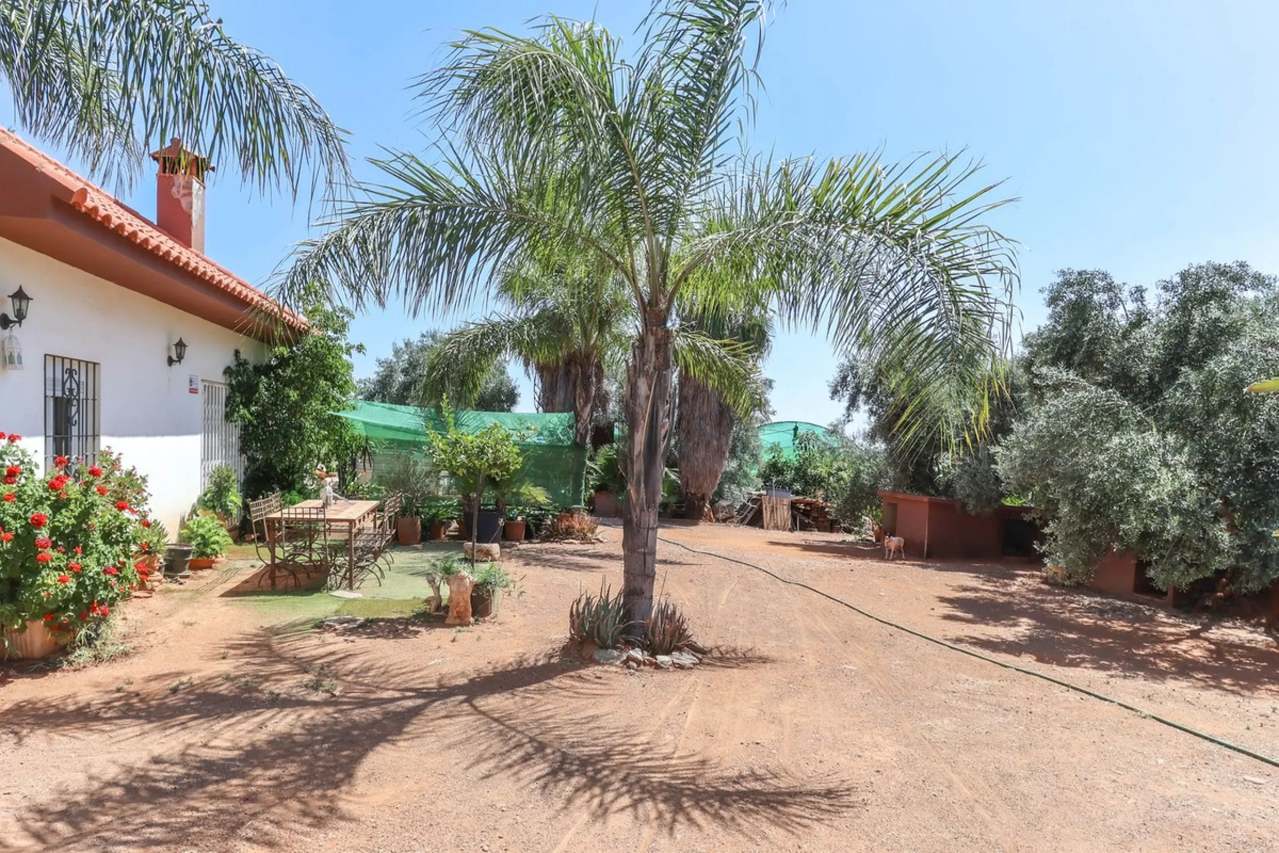 Avocado & Dragon Fruit Farm – Your Own Mountain Retreat