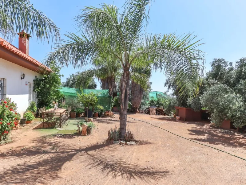 Avocado & Dragon Fruit Farm – Your Own Mountain Retreat