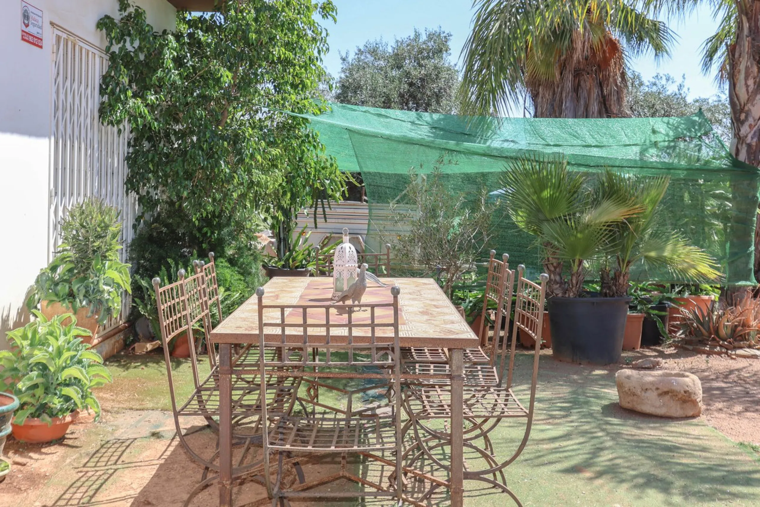 Avocado & Dragon Fruit Farm – Your Own Mountain Retreat