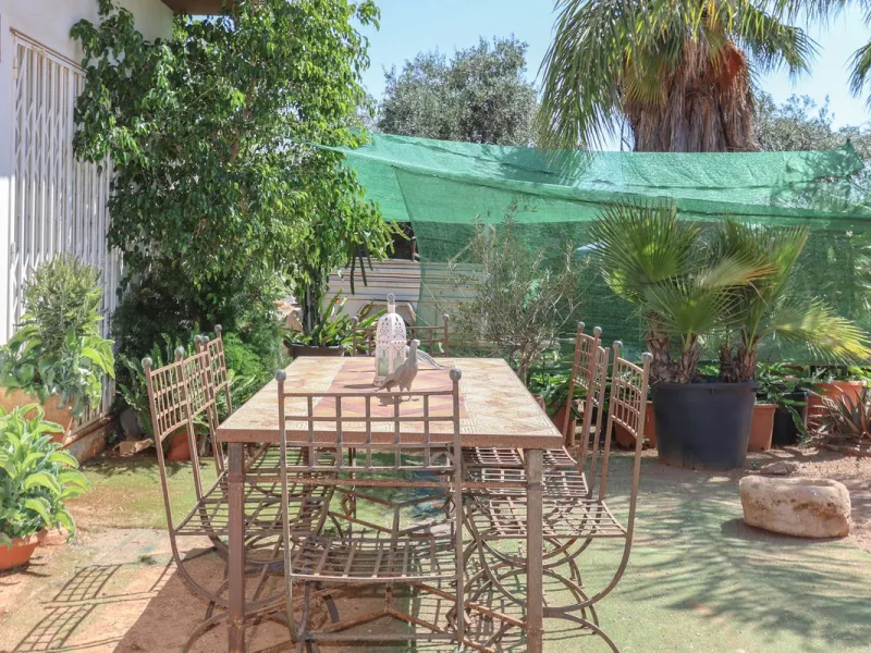 Avocado & Dragon Fruit Farm – Your Own Mountain Retreat