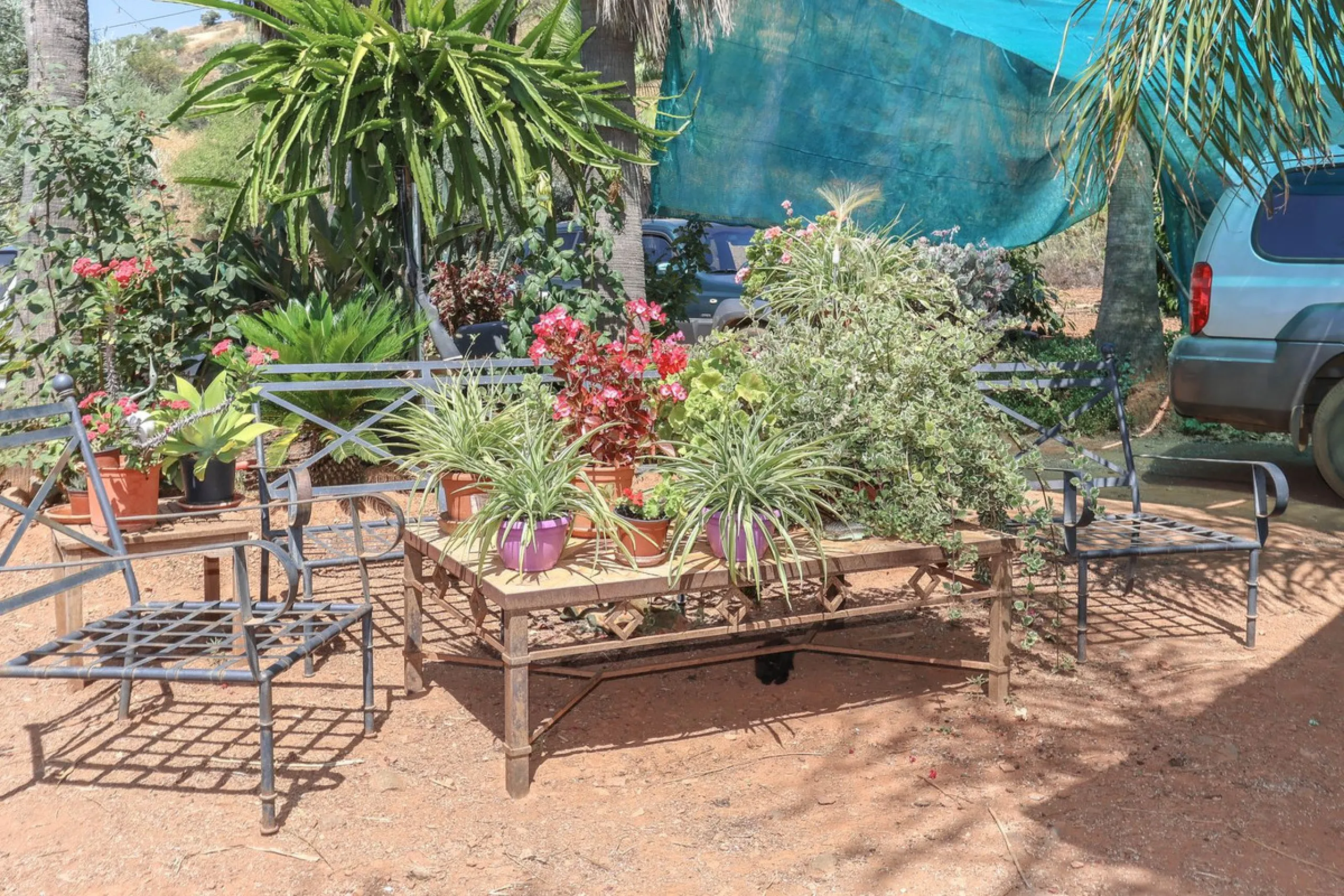Avocado & Dragon Fruit Farm – Your Own Mountain Retreat