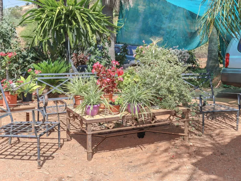 Avocado & Dragon Fruit Farm – Your Own Mountain Retreat