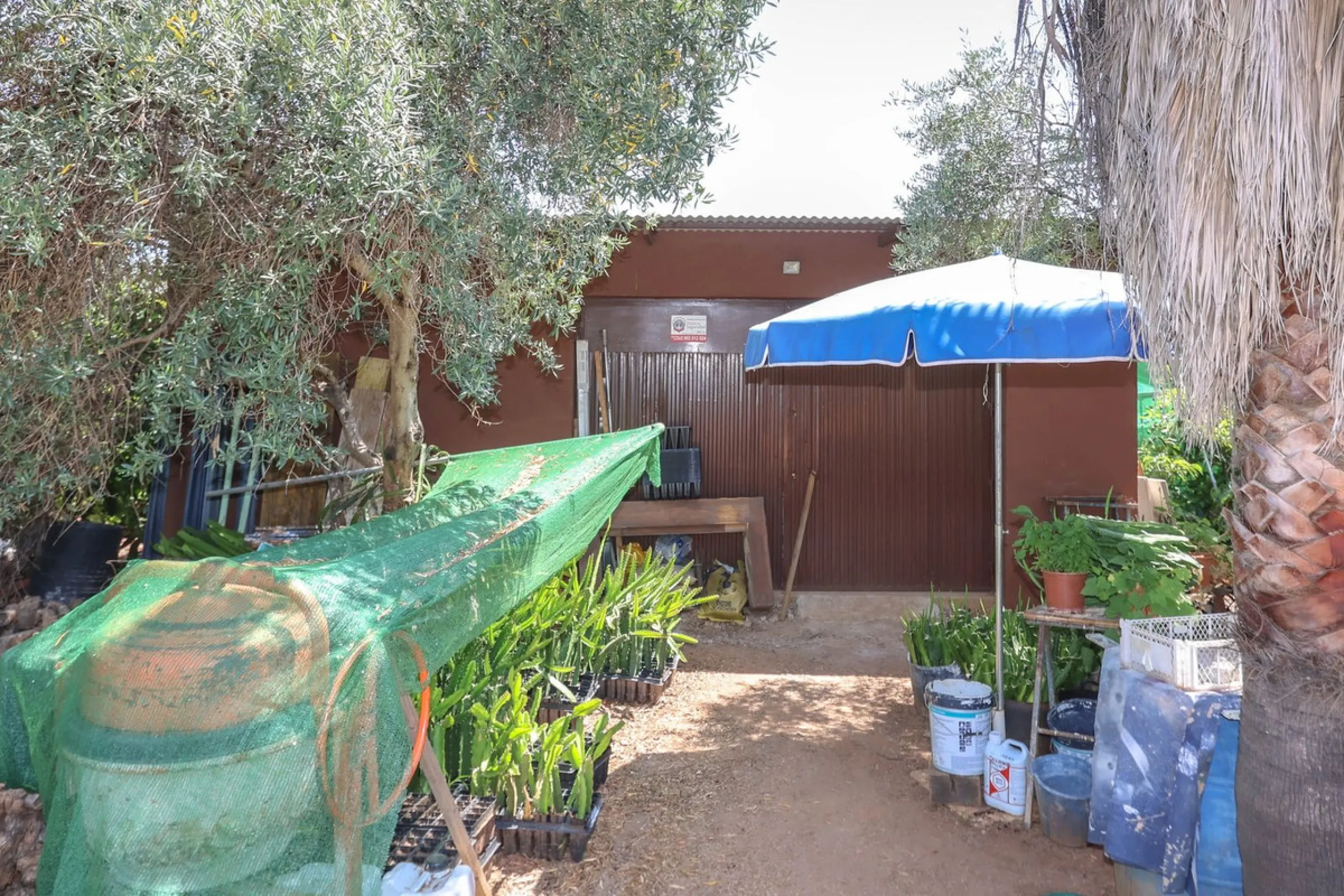 Avocado & Dragon Fruit Farm – Your Own Mountain Retreat
