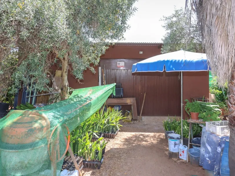 Avocado & Dragon Fruit Farm – Your Own Mountain Retreat
