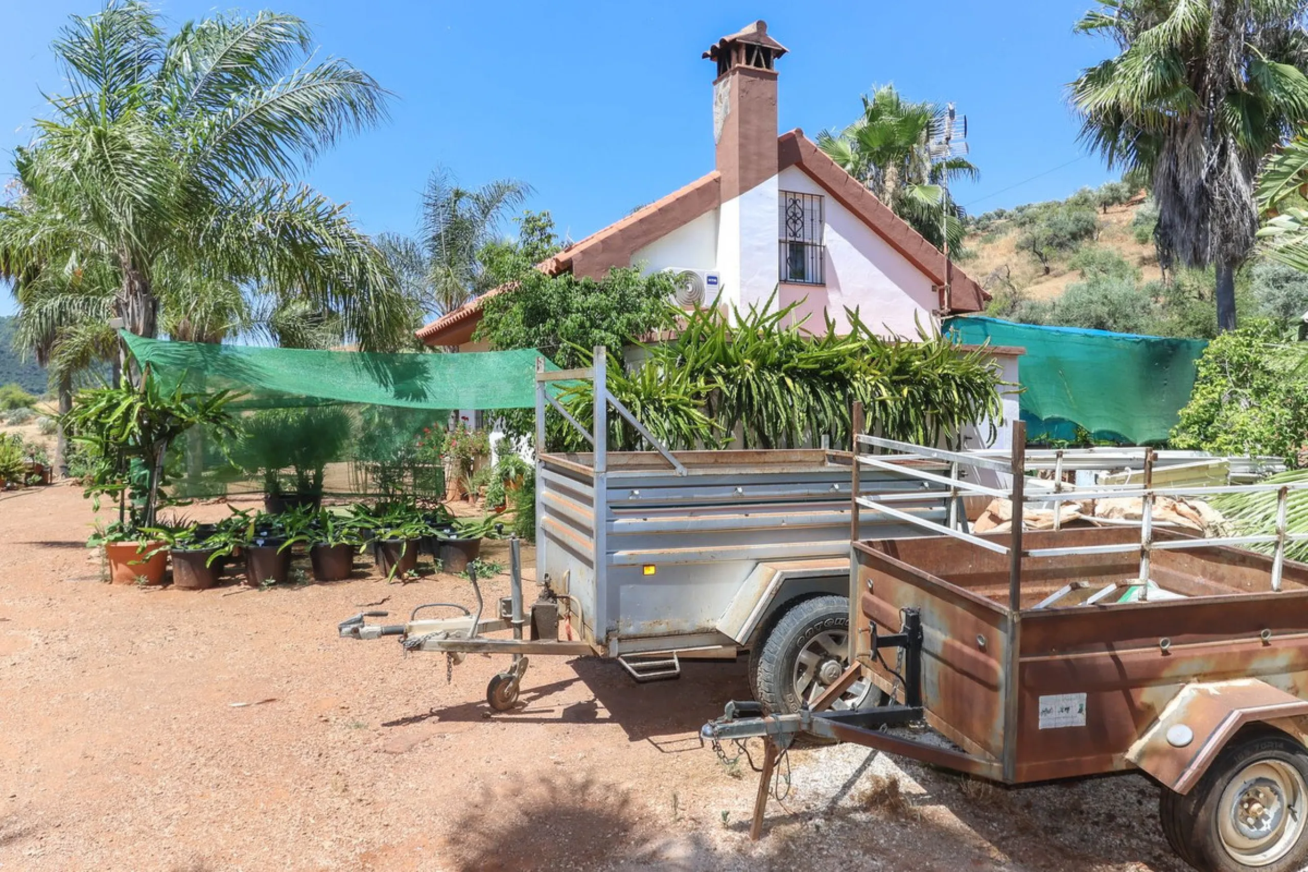 Avocado & Dragon Fruit Farm – Your Own Mountain Retreat