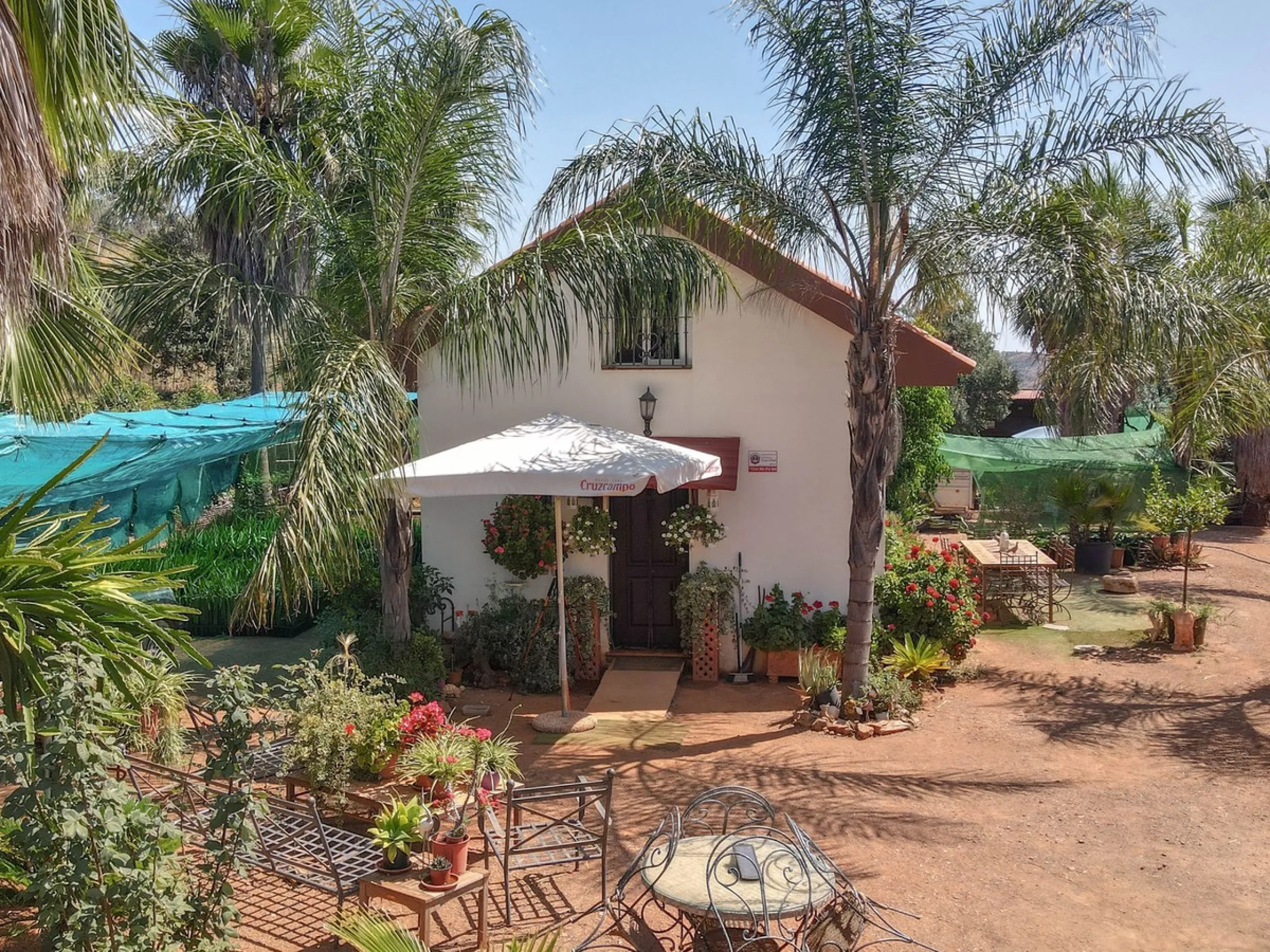 Avocado & Dragon Fruit Farm – Your Own Mountain Retreat