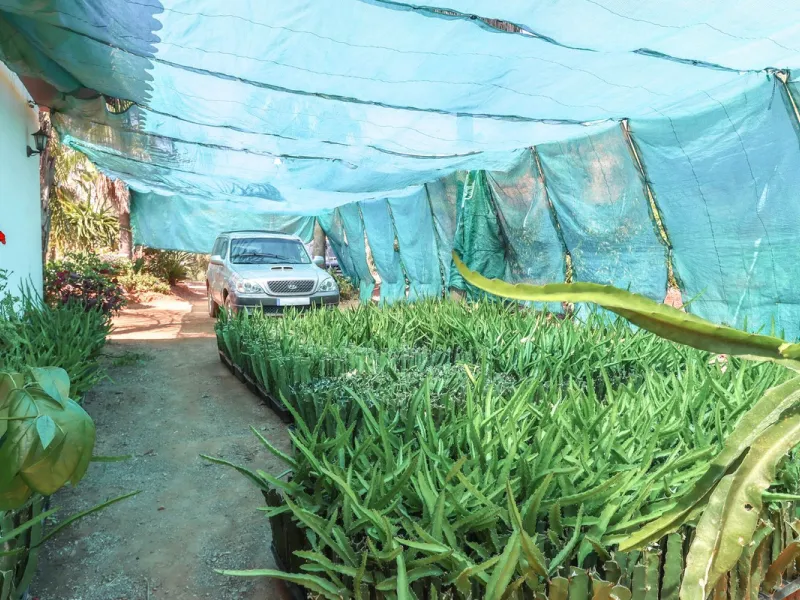 Avocado & Dragon Fruit Farm – Your Own Mountain Retreat