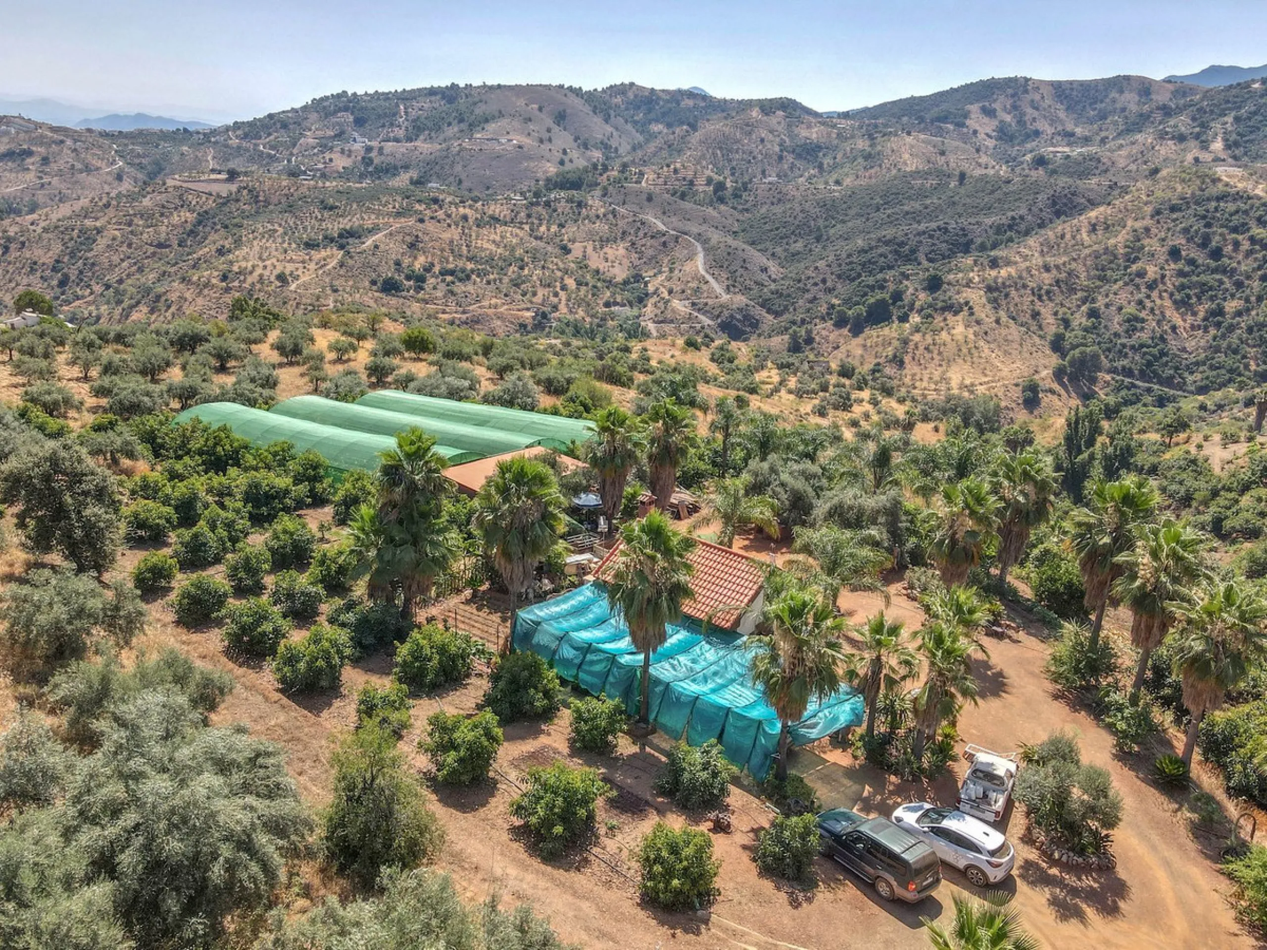 Avocado & Dragon Fruit Farm – Your Own Mountain Retreat